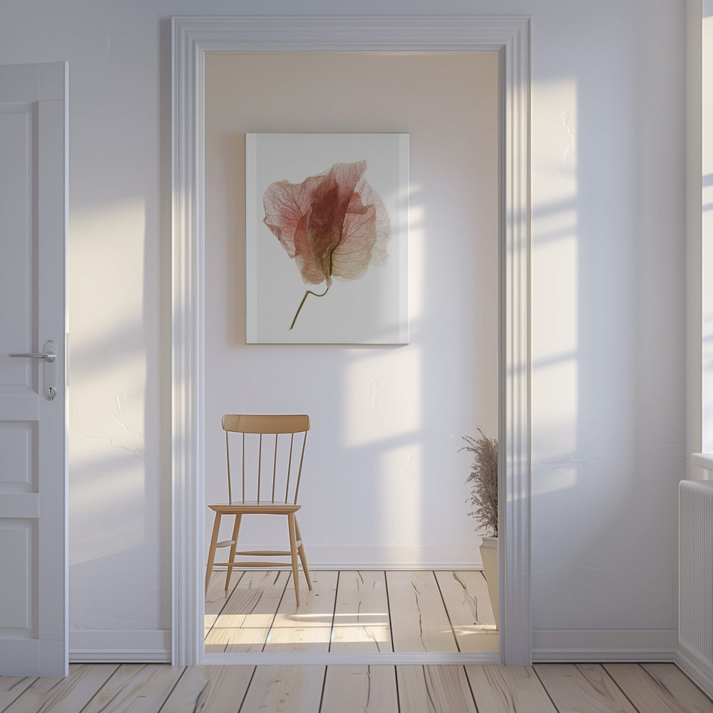 Delicate Petal Veins | Canvas