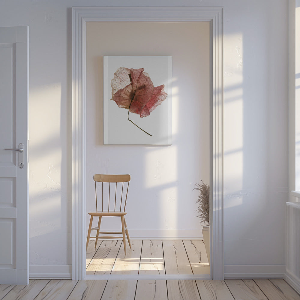 Delicate Petal Veins | Canvas
