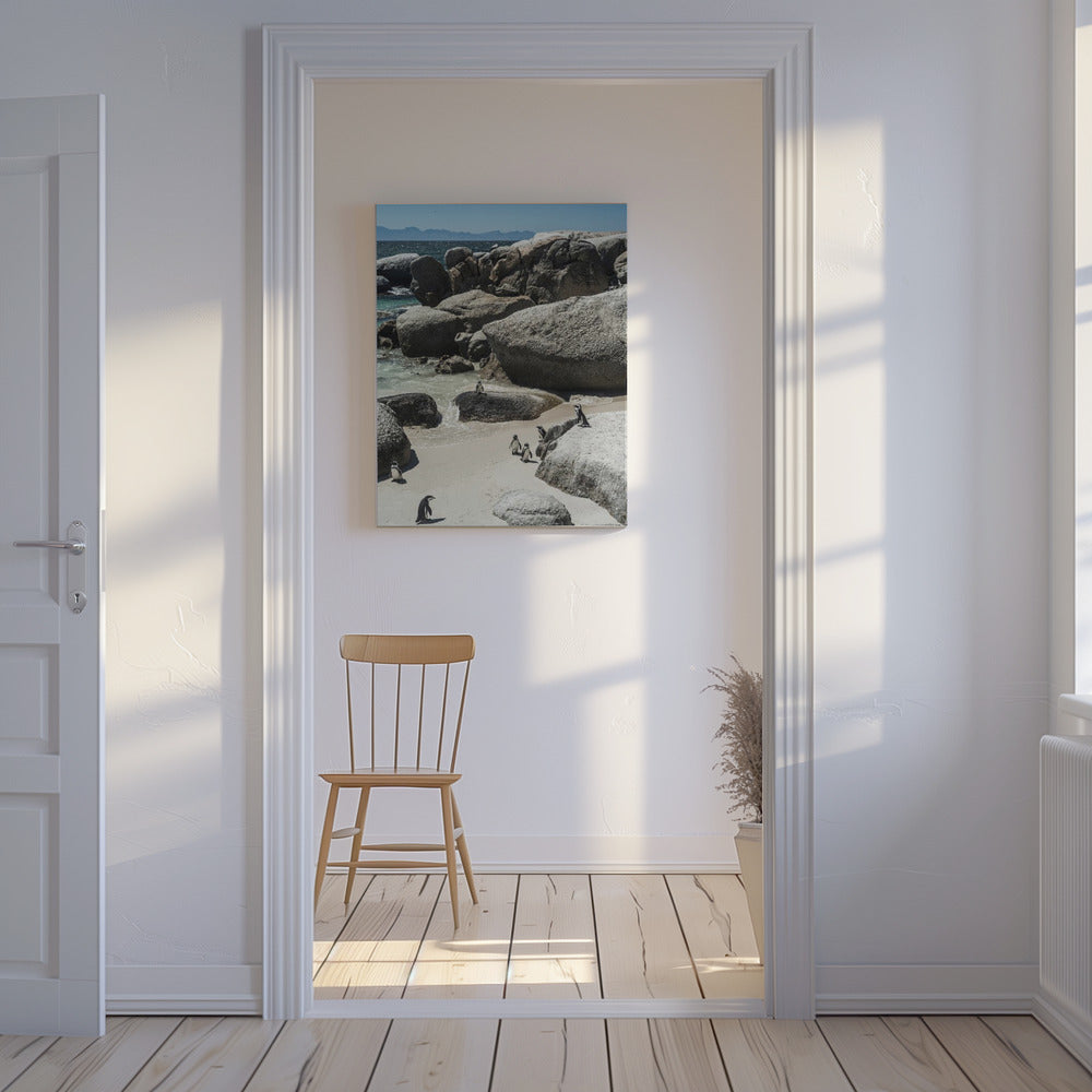 Penguin Cove Serenity | Canvas