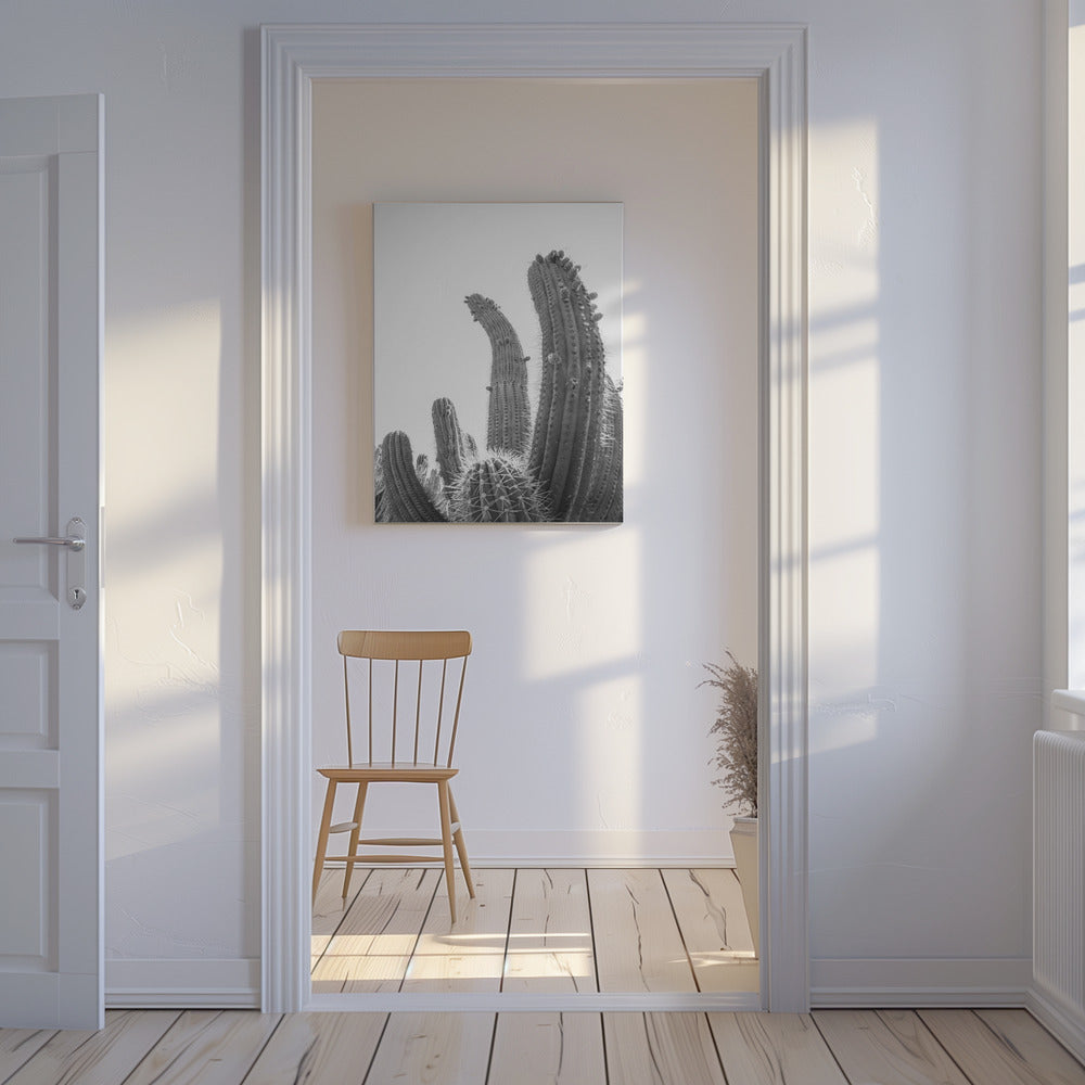 Desert Giants | Canvas