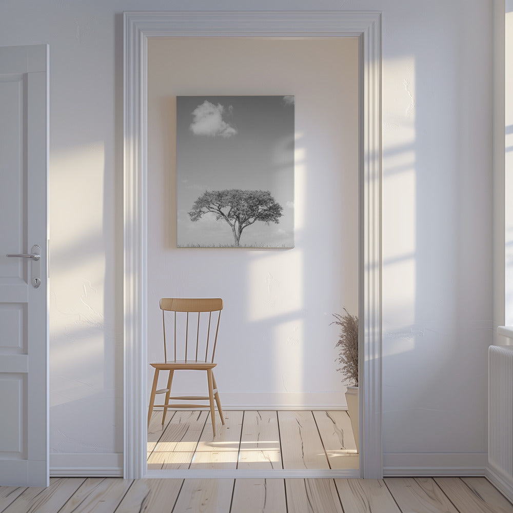 Lonely Tree Dreaming | Canvas