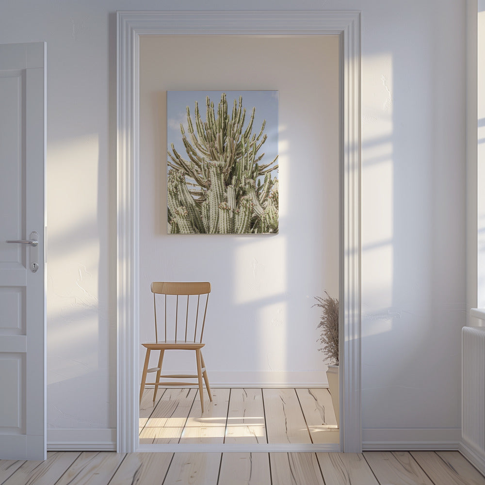 Cactus Symphony | Canvas