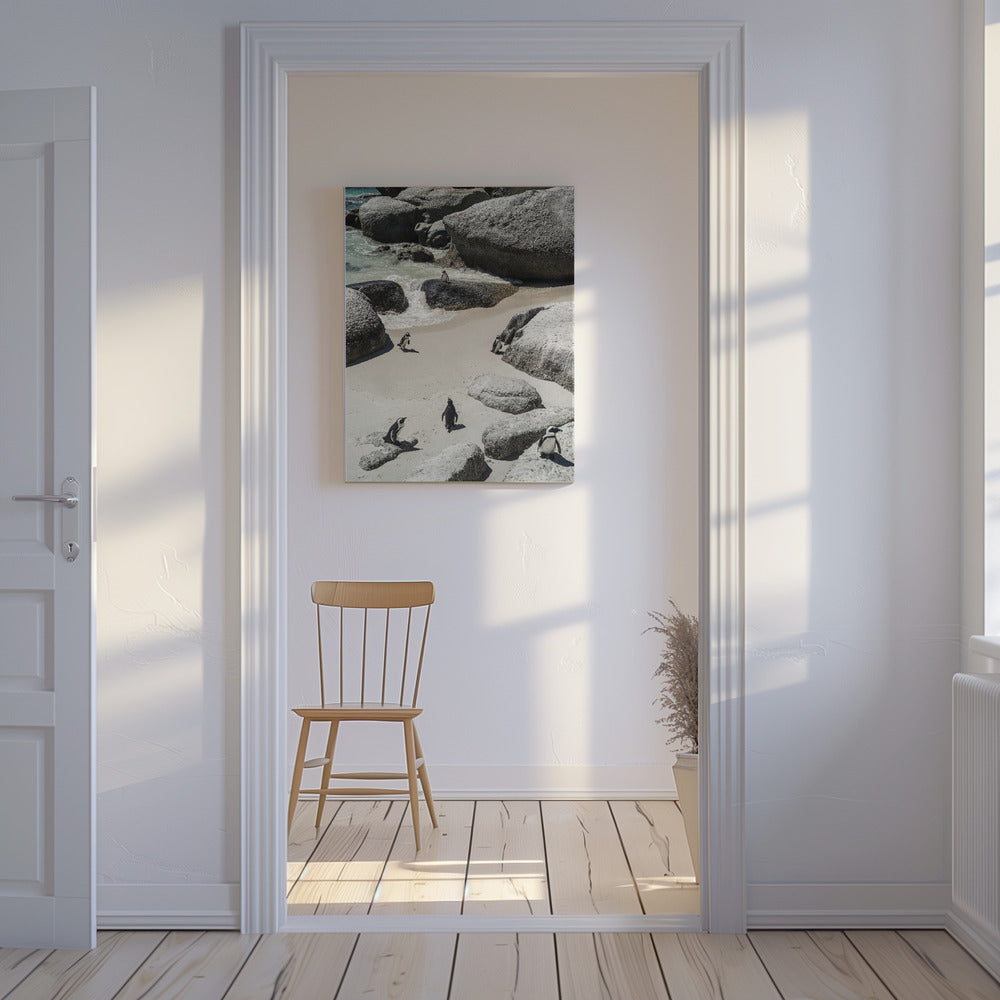 Penguin Beach Stroll | Canvas