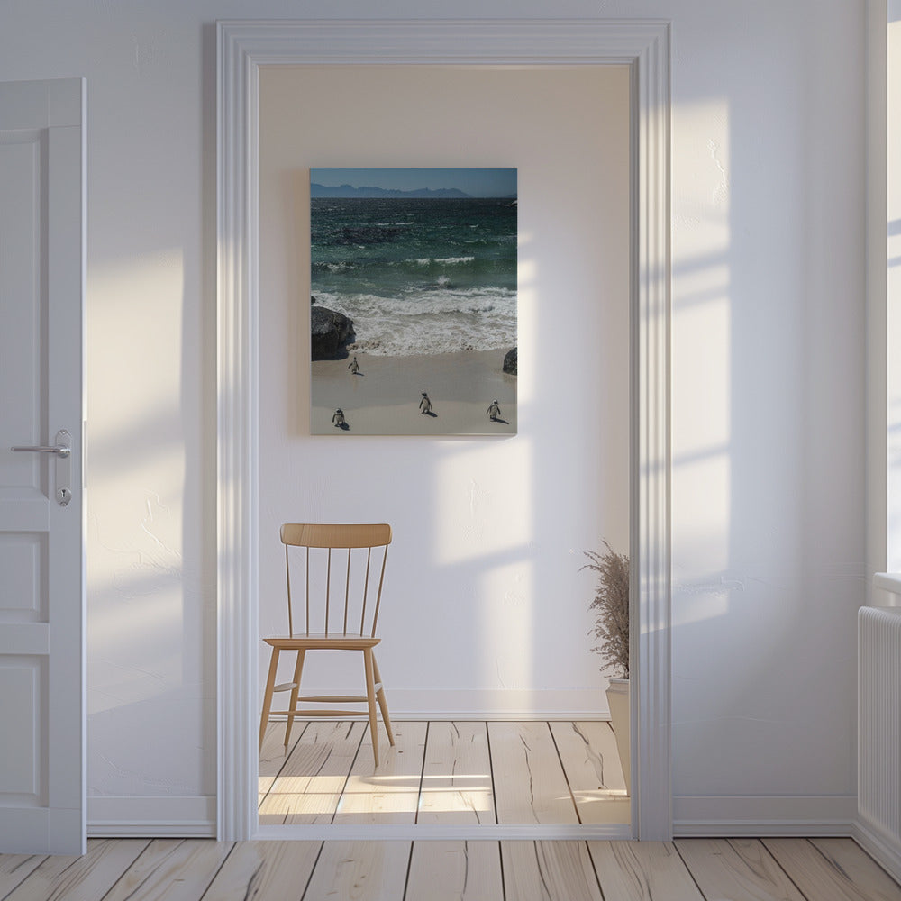Penguin Beach Stroll | Canvas
