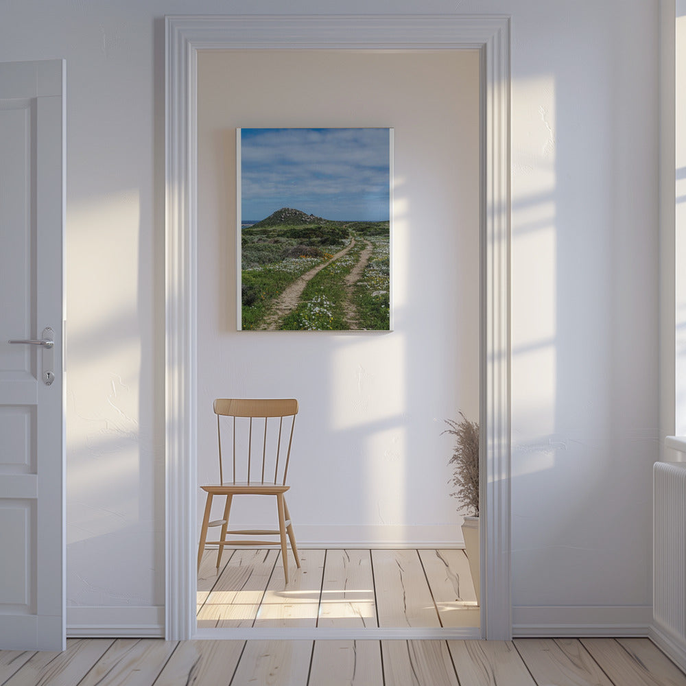 Pathway to Serenity | Canvas