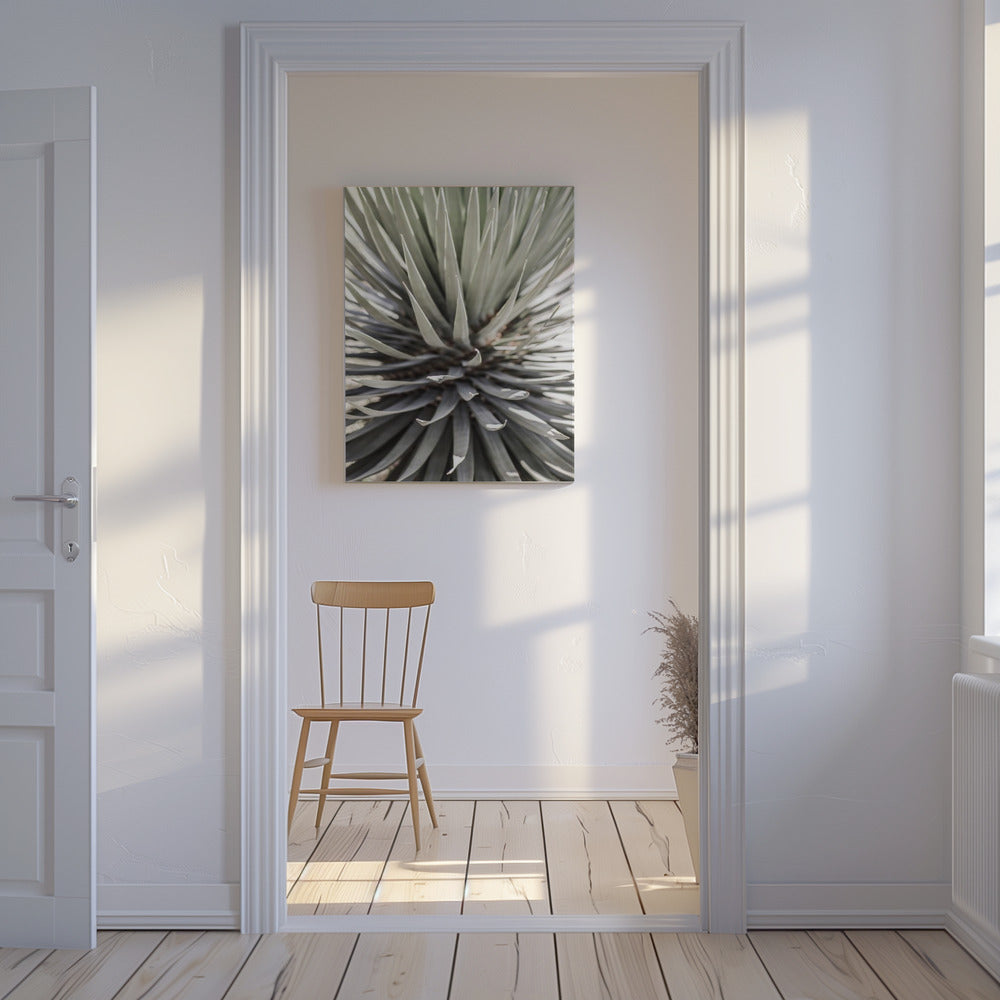 Spiky Serenity | Canvas