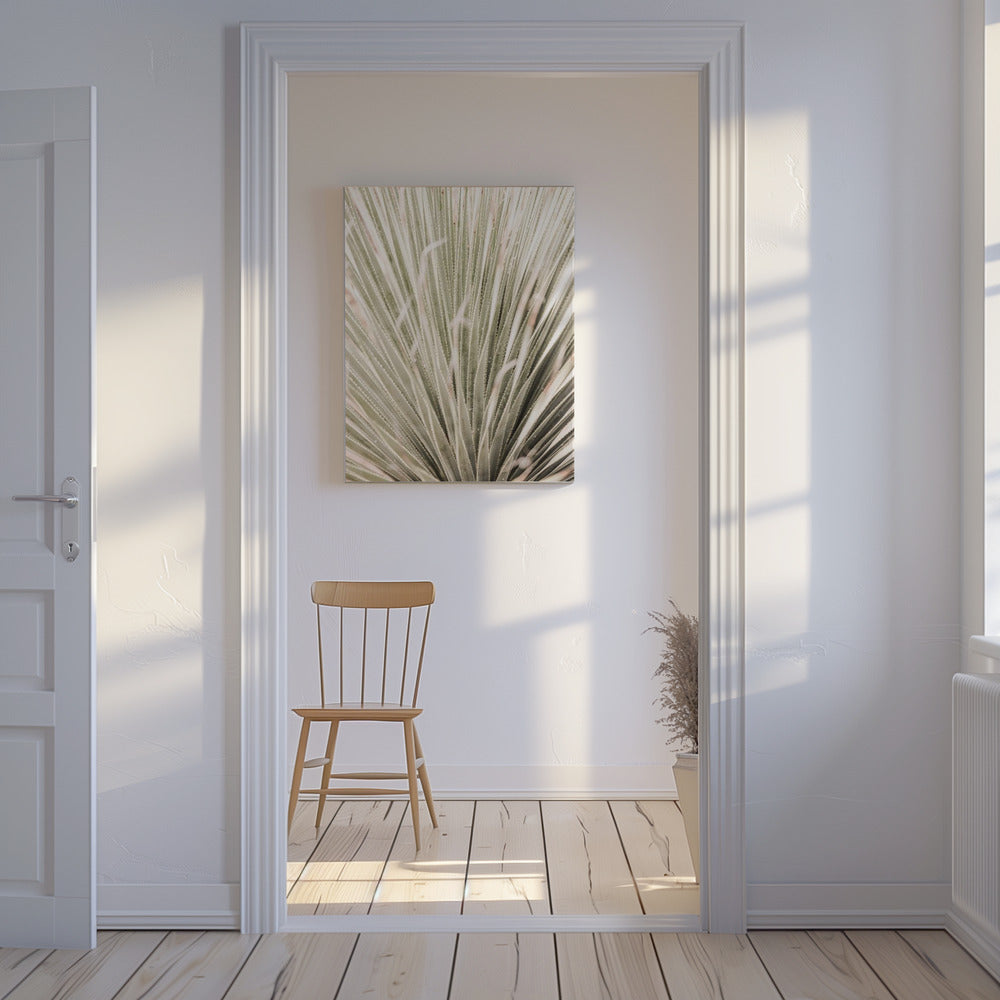 Spiky Serenity | Canvas