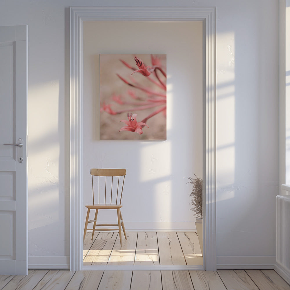 Blütenblätter im Fokus | Leinwand