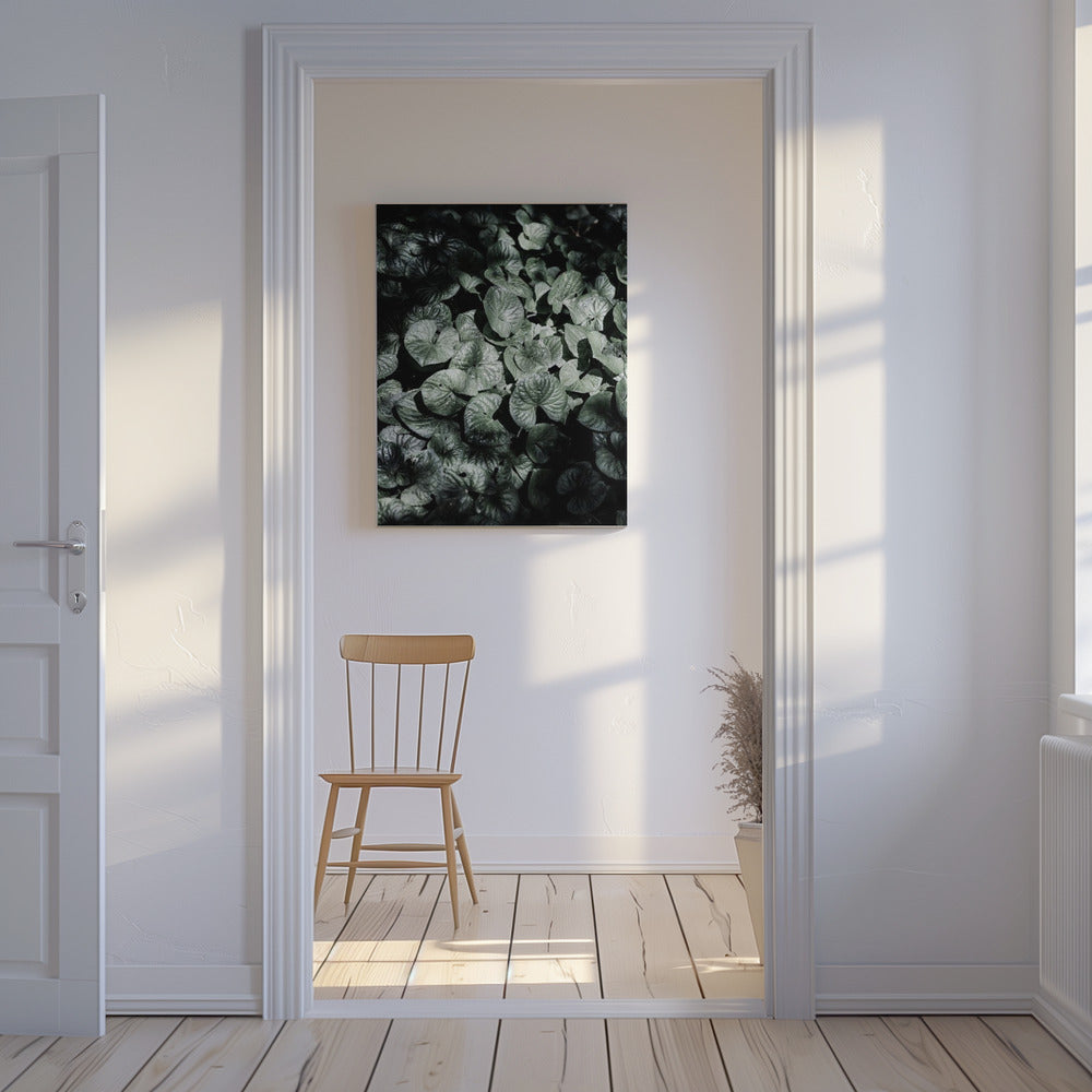 Blattschatten | Leinwand