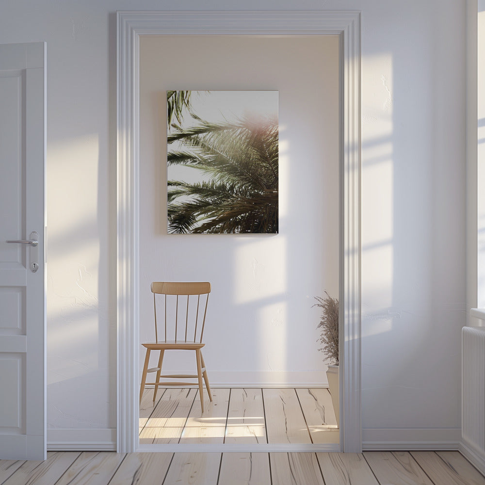 Sonnenbeschienenes Palmenglühen | Leinwand