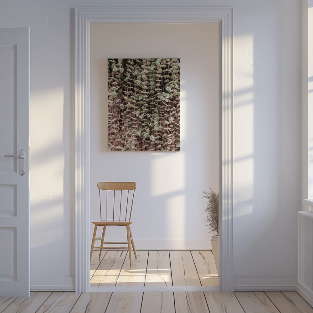 Succulent Symphony | Canvas