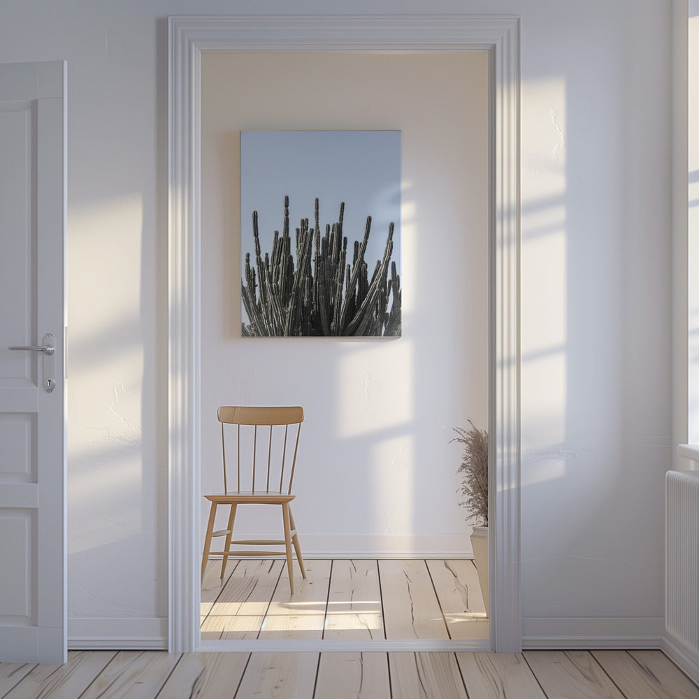 Cactus Symphony | Canvas