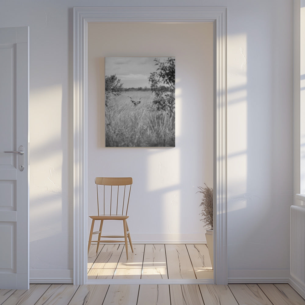 Hidden in the Grass | Canvas