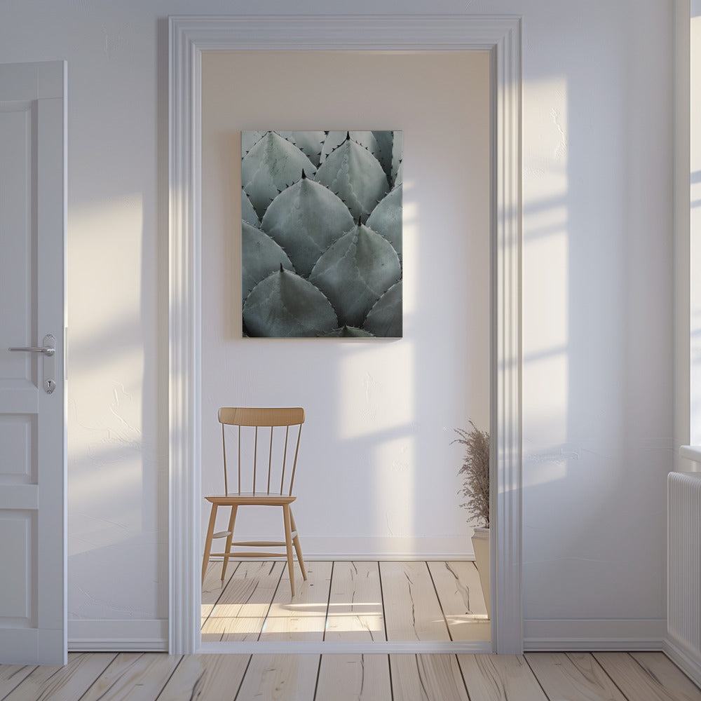 Agavensymmetrie | Leinwand