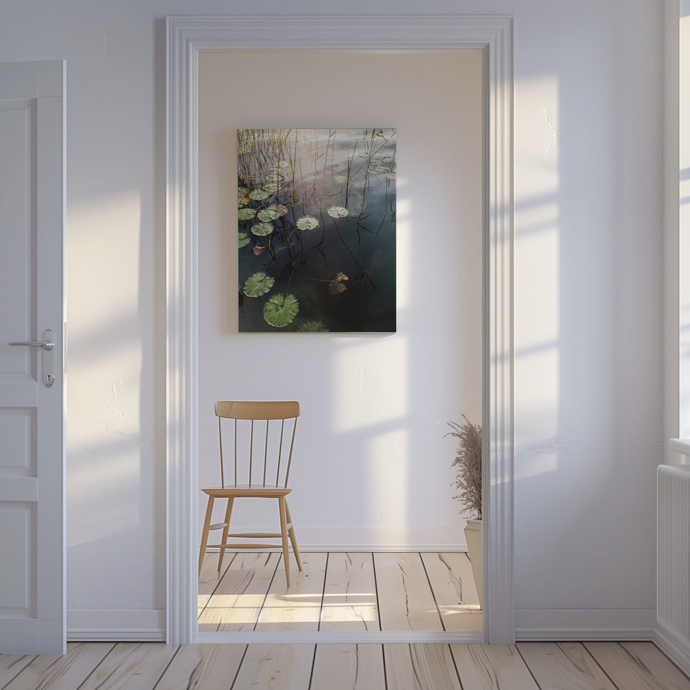 Lily's Tranquil Dawn | Canvas