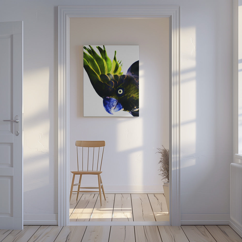 Lebendiger Vogelblick | Leinwand