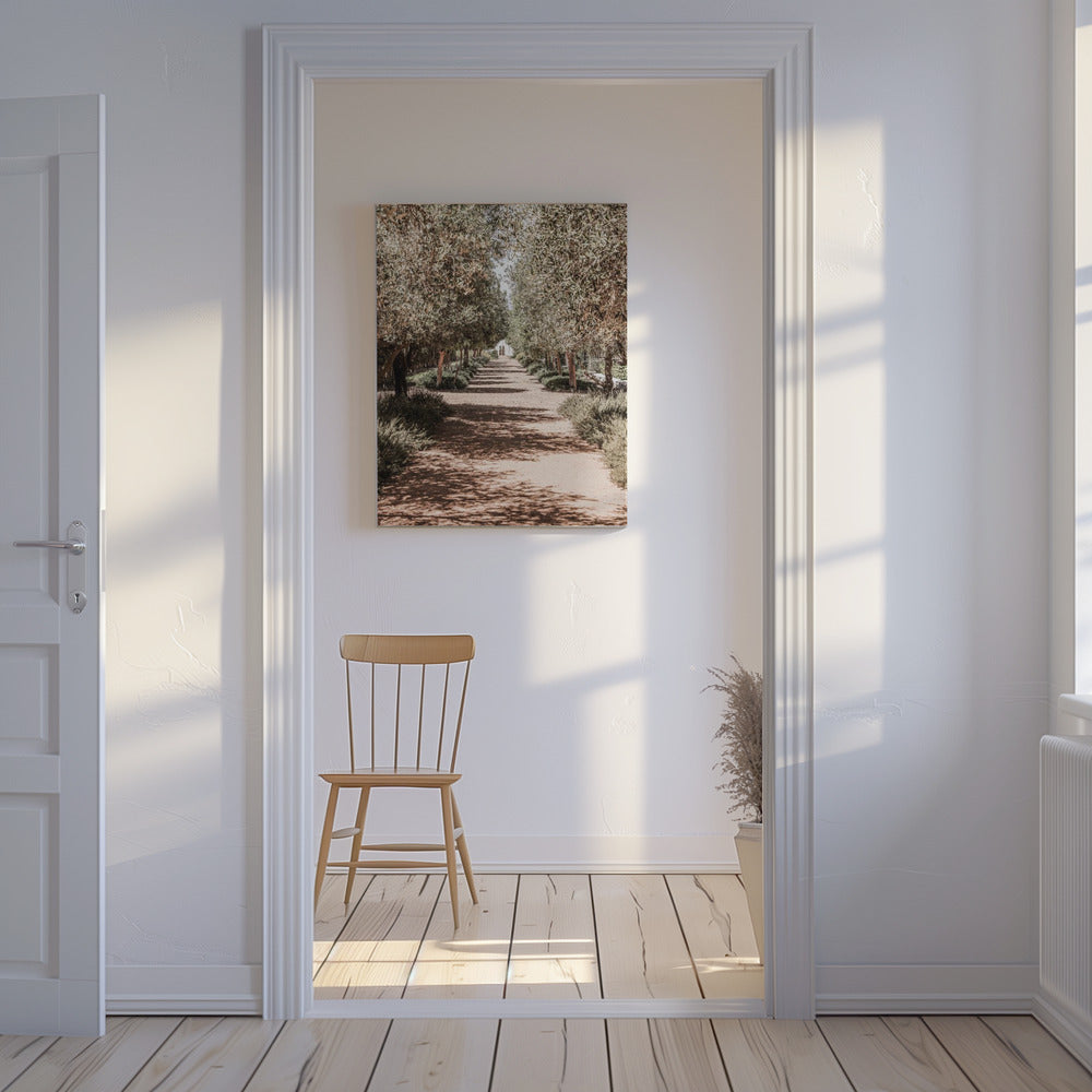 A Serene Tree Lined Path with Sunlight | Canvas