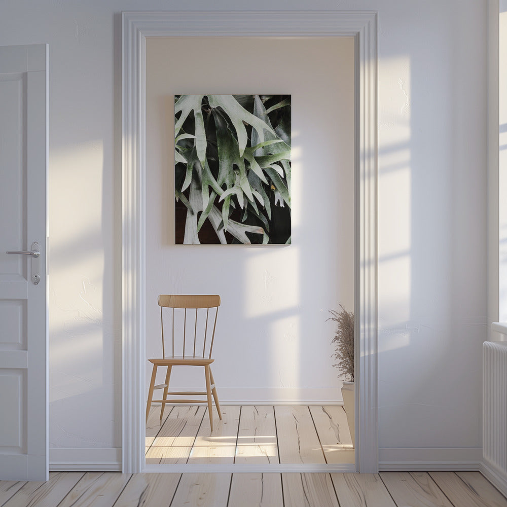 Enchanted Fronds | Canvas