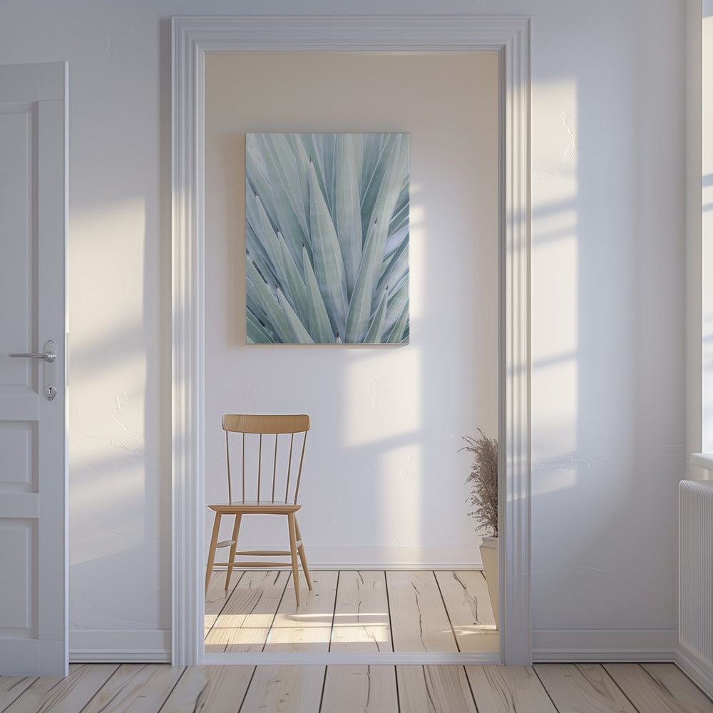 Azure Agave Dance | Canvas
