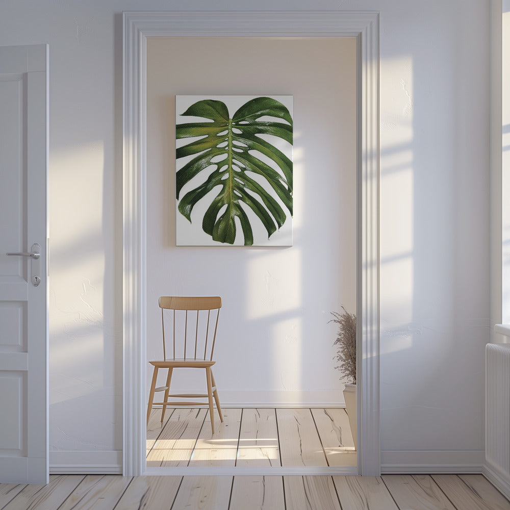 Grünes Monstera-Blatt | Leinwand