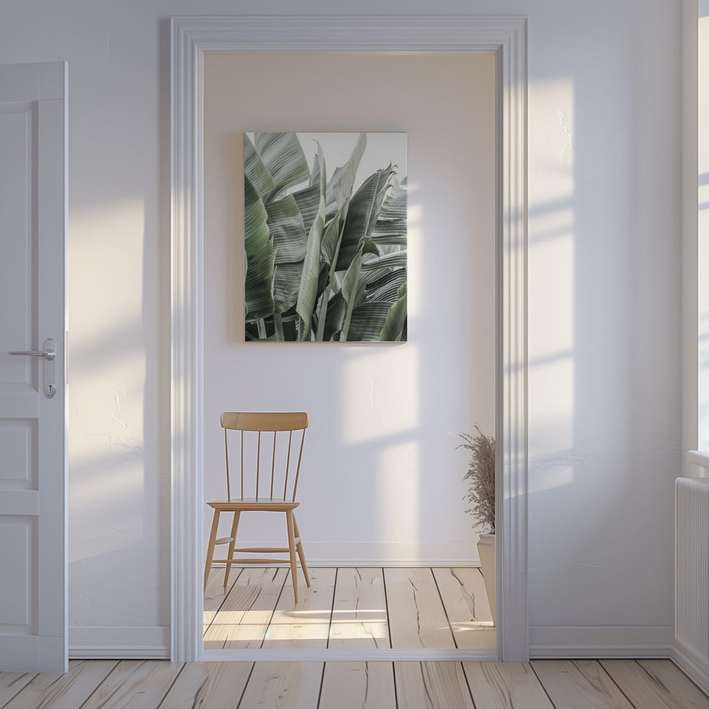 Banana Leaves In Soft Lighting | Canvas