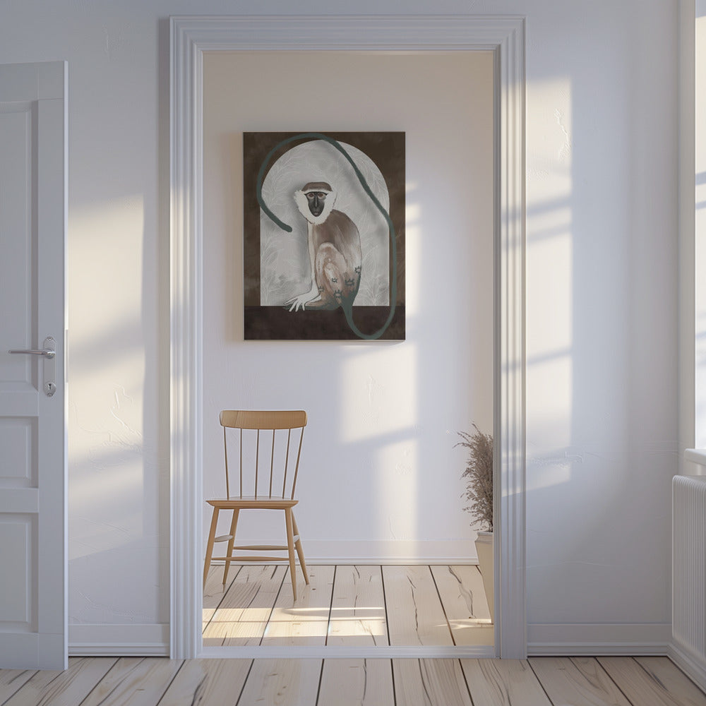 The Vervet | Canvas