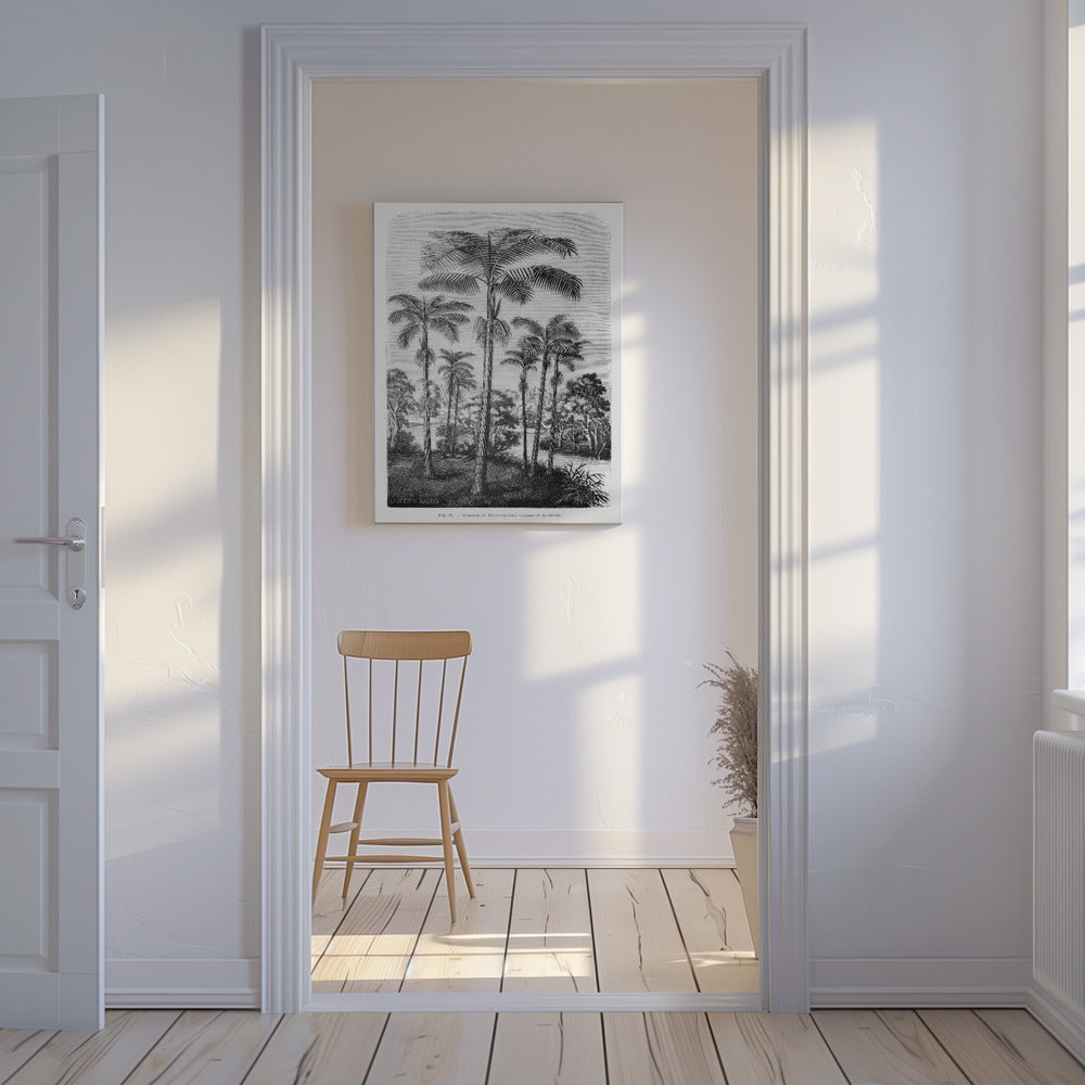 Vintage Palm Tree Drawing Ii | Canvas