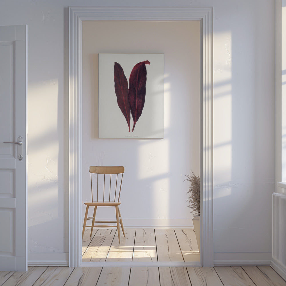 Rosa Dracaena Ferrea Blatt Illustration | Leinwand
