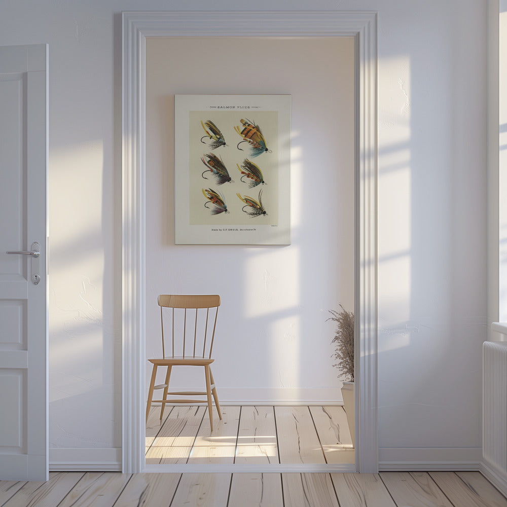 Salmon Fliee 1892 | Canvas