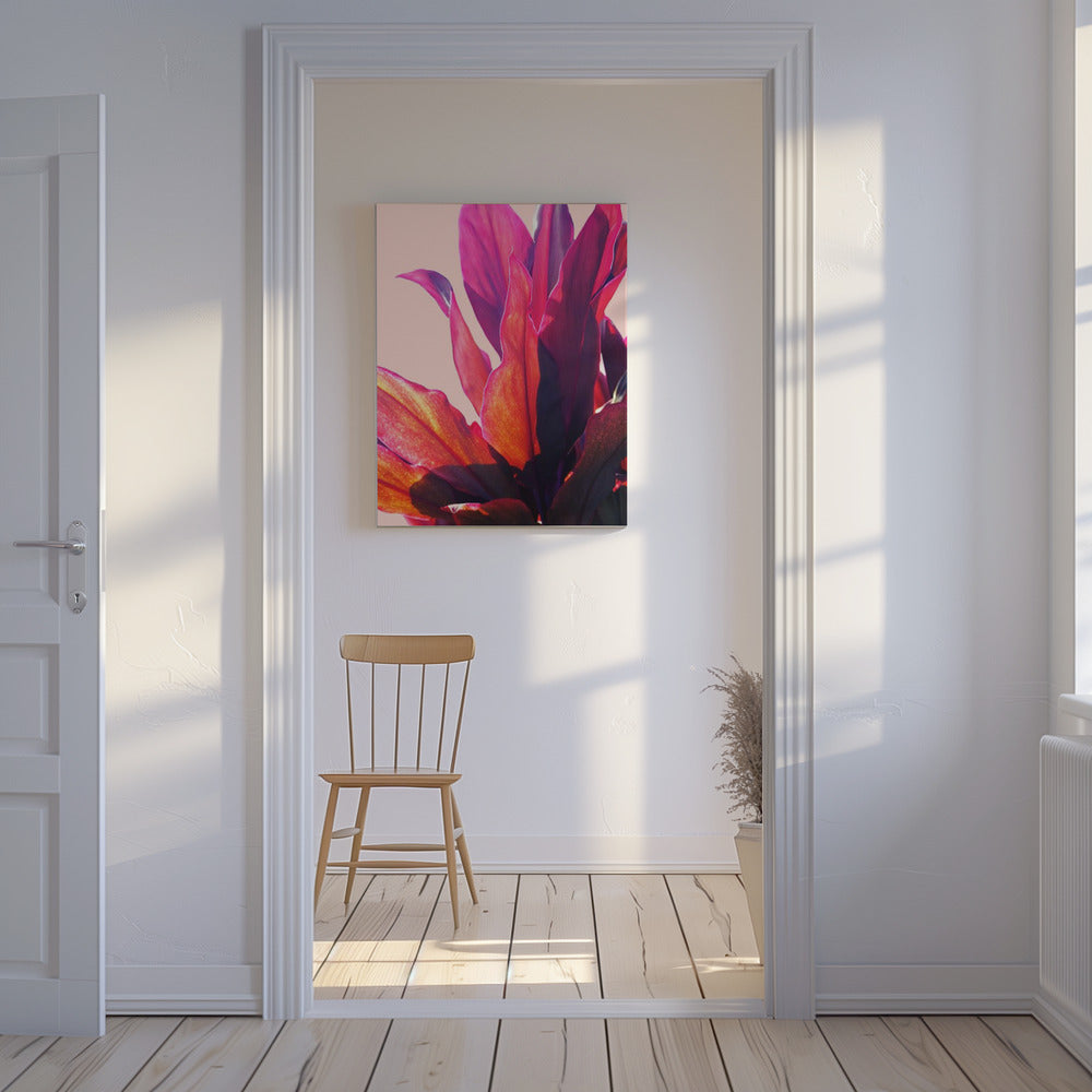 Fuchsia Blätter II | Leinwand