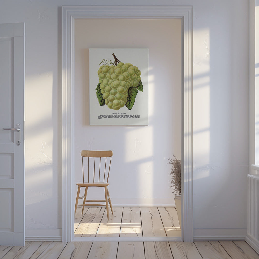 Lithografie „Grüne Bergtraube“ | Leinwand