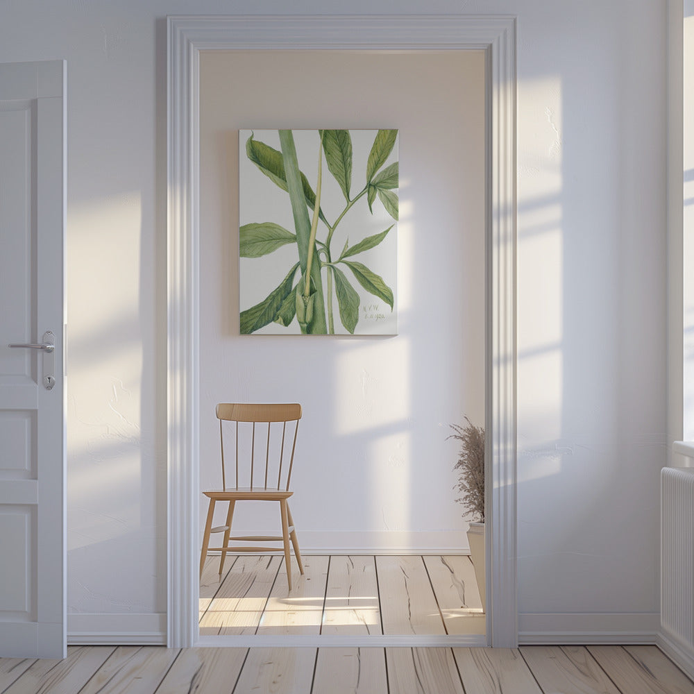 Greendragon (1920) | Canvas