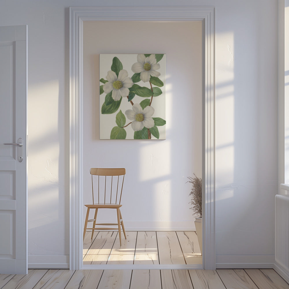 Pacific Dogwood | Canvas