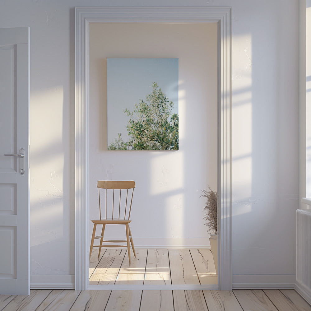 Oliven in Ostuni | Italien Reisefotografie | Leinwand