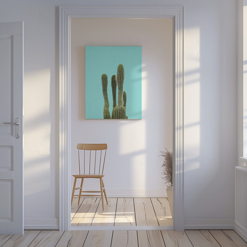 Turquoise Cactus | Canvas