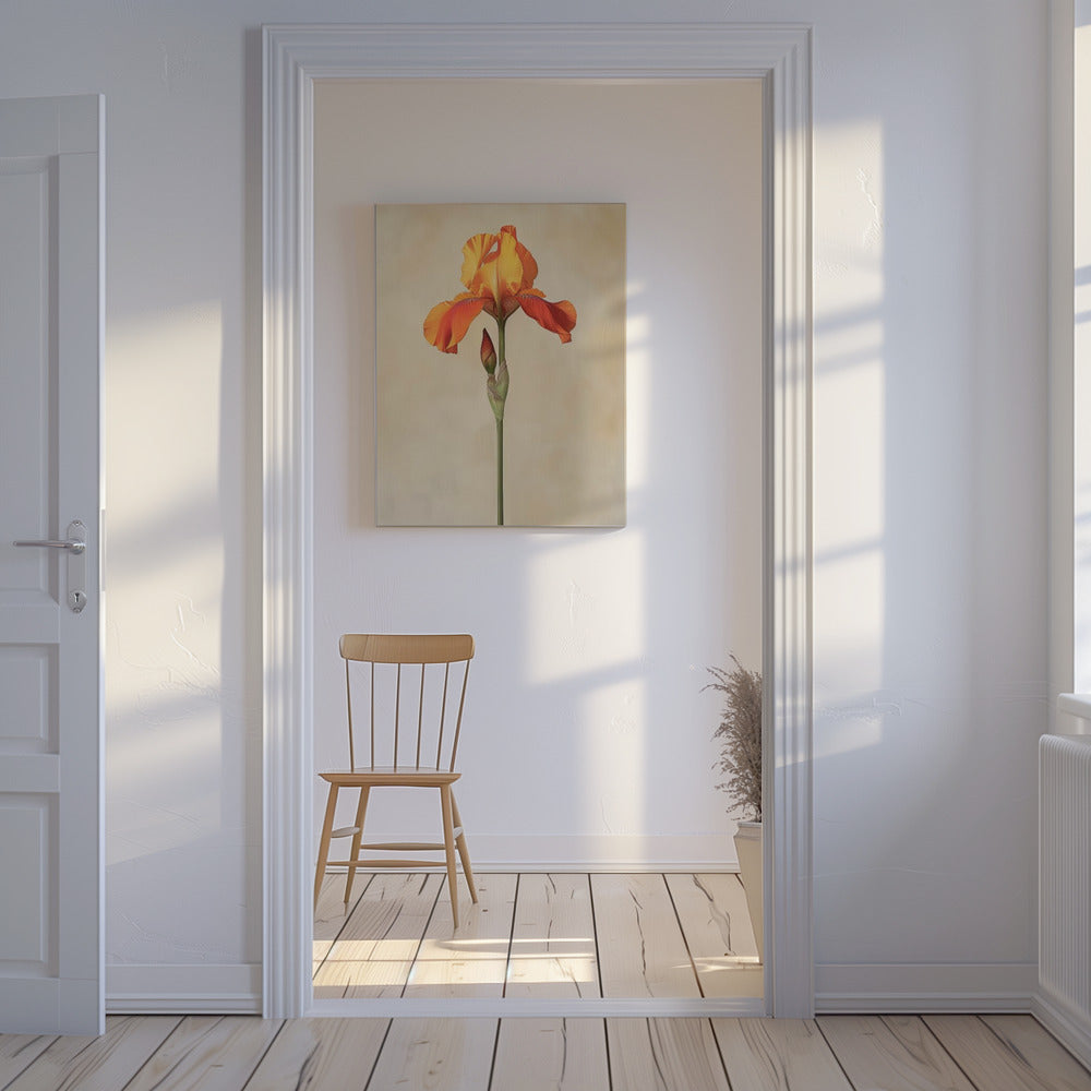 Poster Leinwand Sng Iris 34 | Leinwand