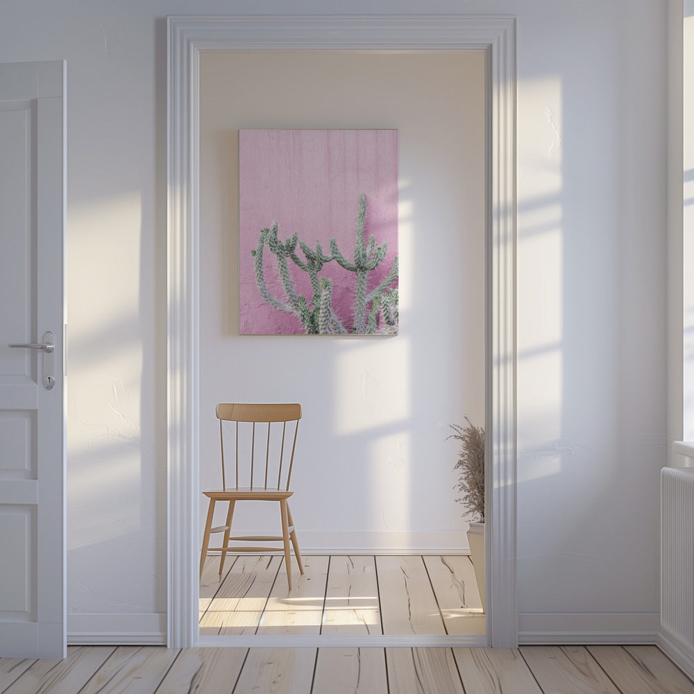 Kaktus auf Rosa | Leinwand