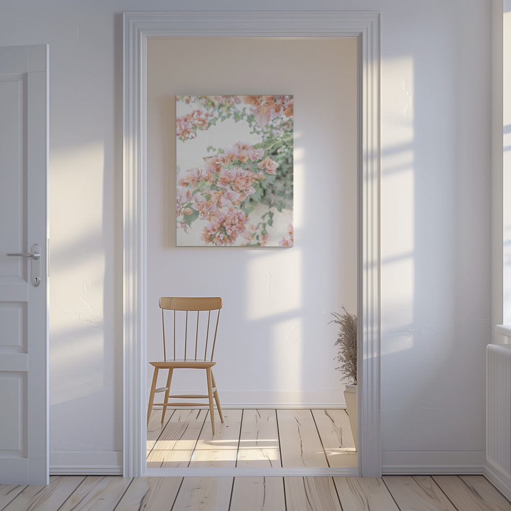 Pfirsichfarbene Bougainvillea | Leinwand