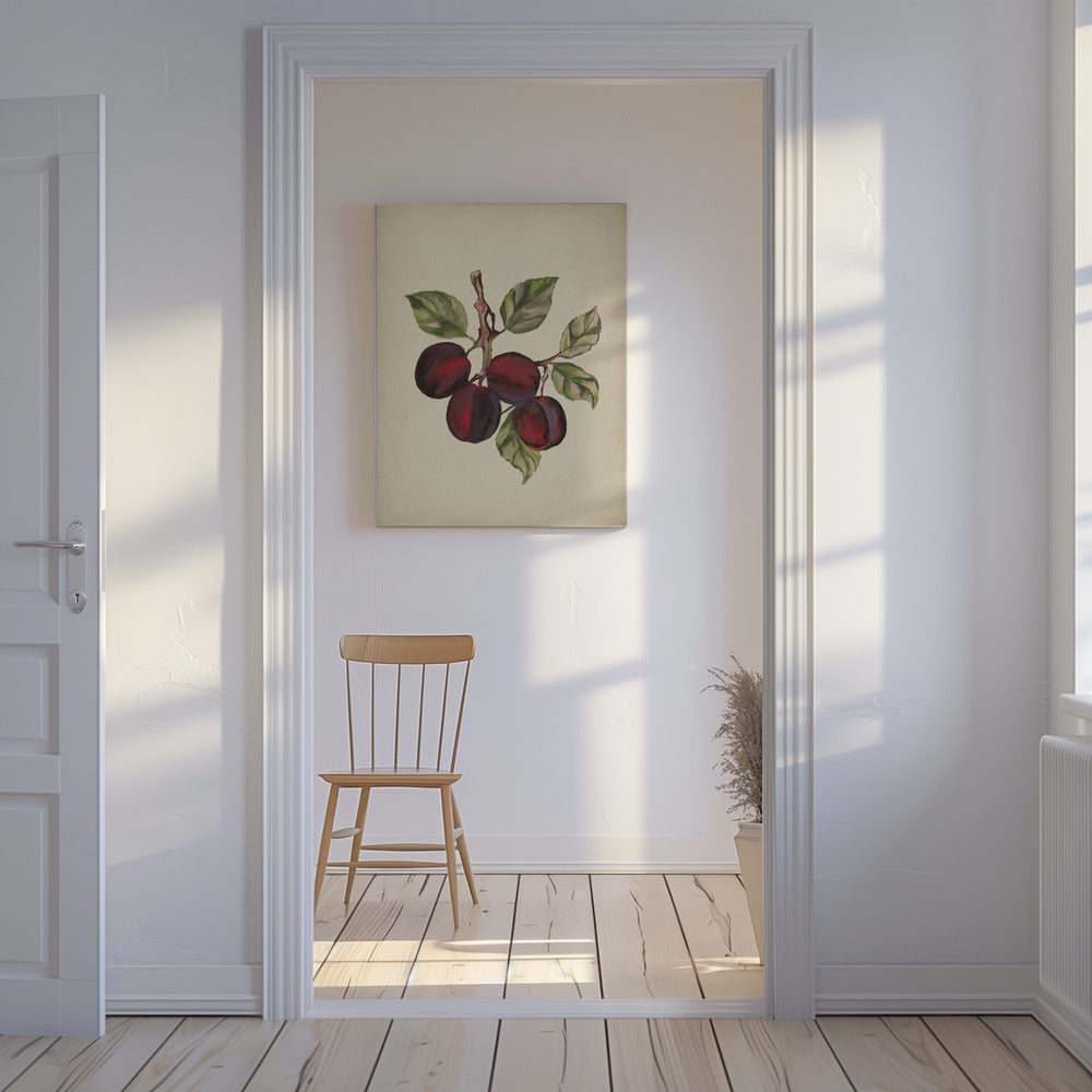 Vintage-Obstsammlung | Leinwand