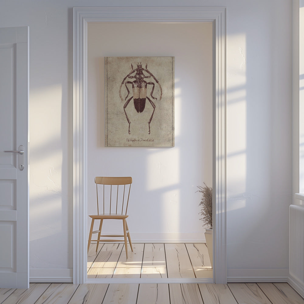 Vintage Insektenskizze | Leinwand