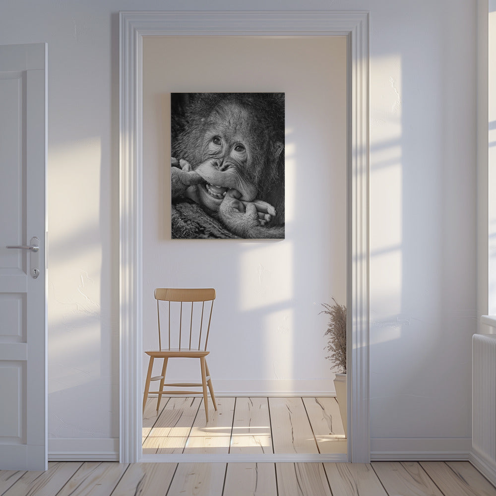 Großes Lächeln.....bitte | Leinwand