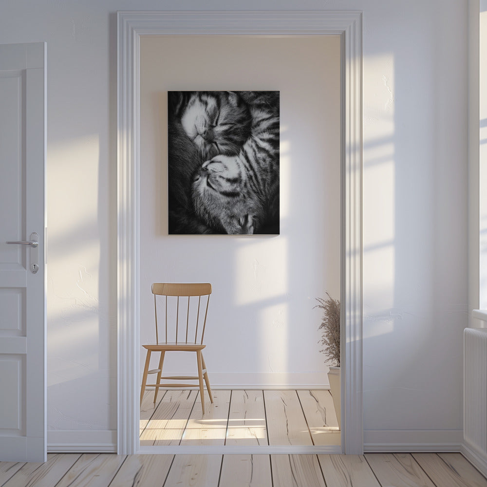 Yin and Yang | Canvas