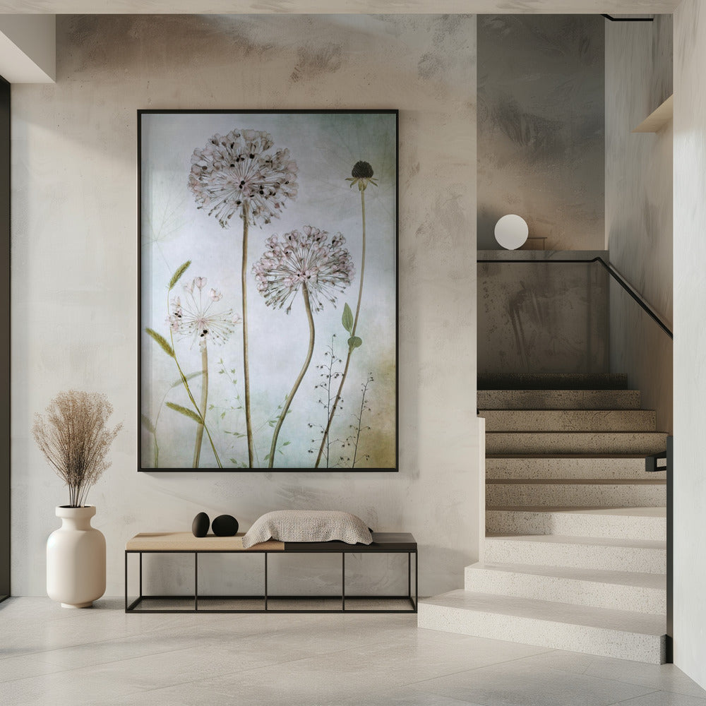 Allium | Poster