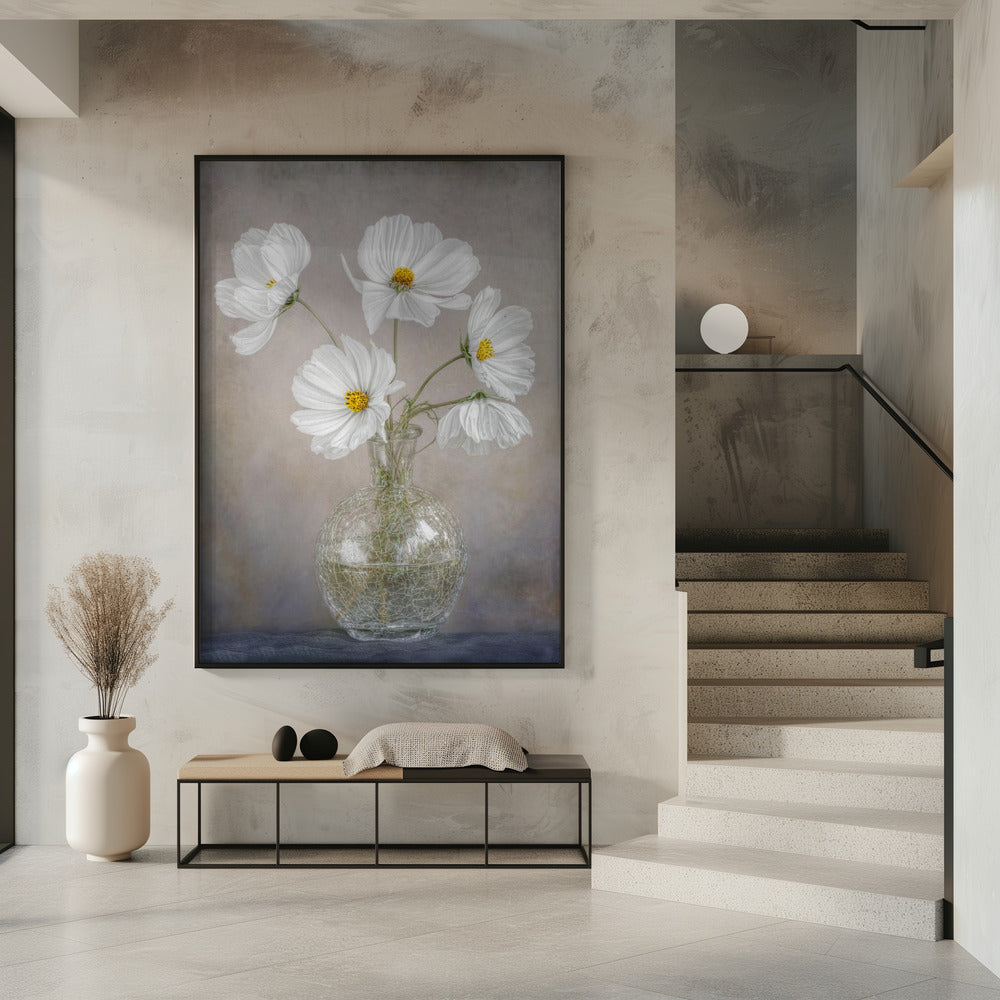 Simply Cosmos | Poster