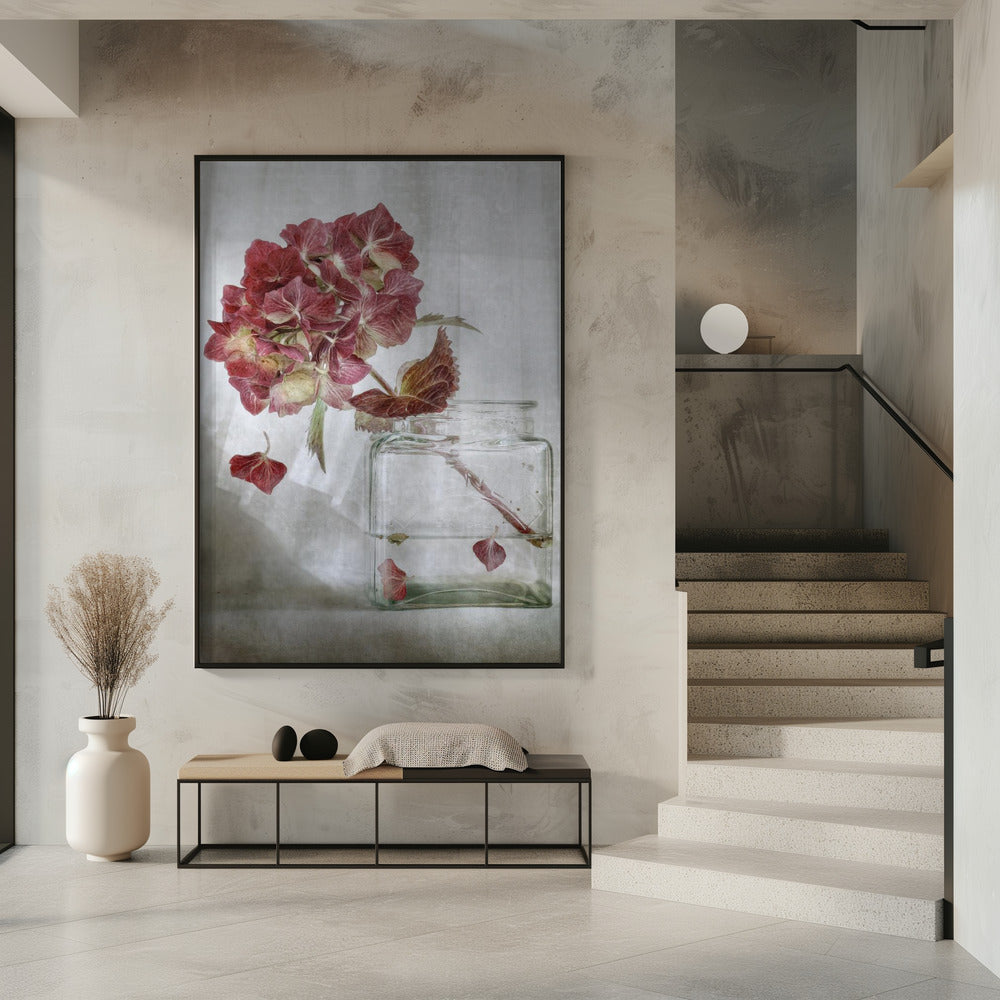 Hydrangea | Poster