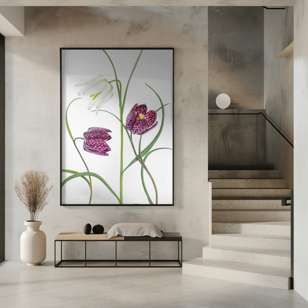 Schachbrettfalter | Poster