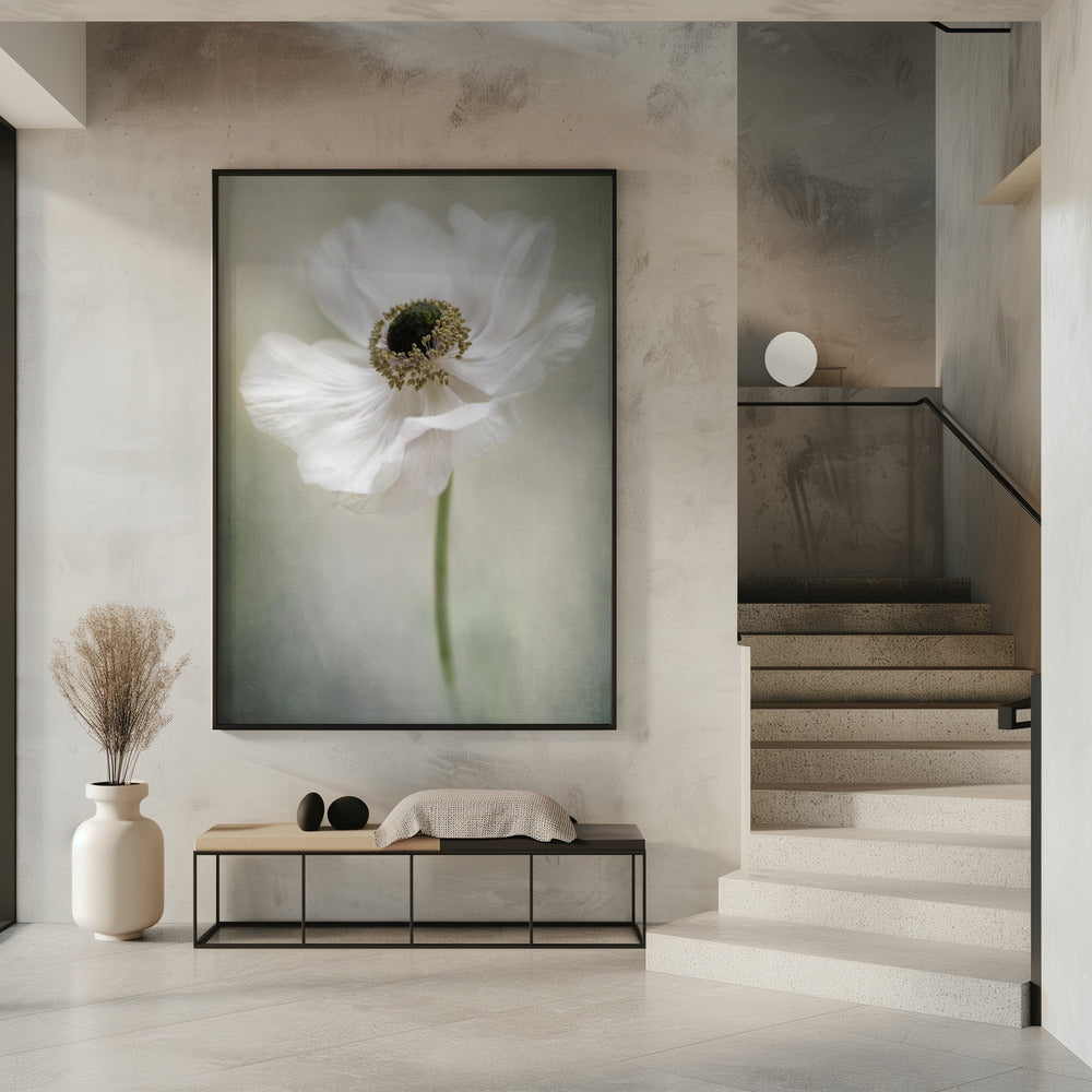 Single White | Poster