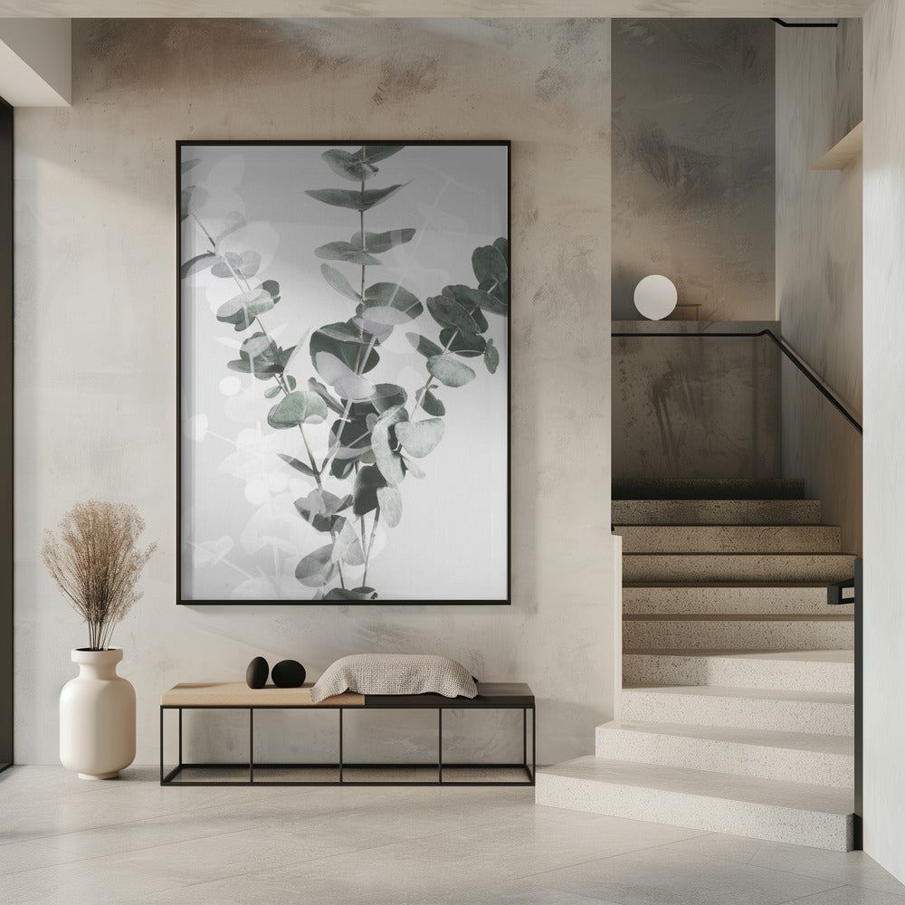 Eukalyptus_002 | Poster