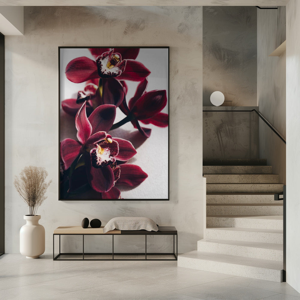 Rote Orchideen mit zarten Blütenblättern | Poster