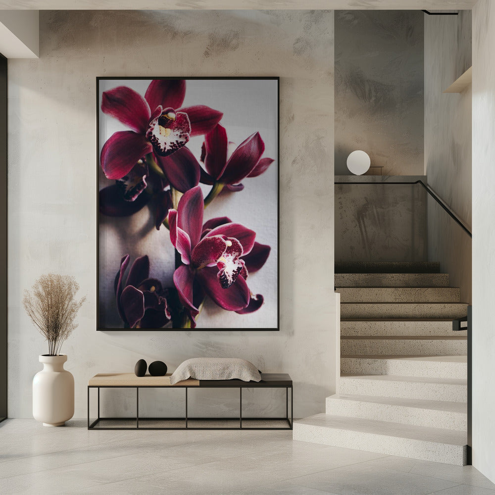 Orchideen-Eleganz | Poster